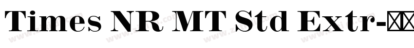 Times NR MT Std Extr字体转换